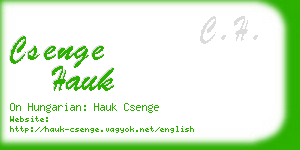 csenge hauk business card